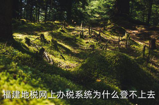 企業(yè)所得稅系統(tǒng)為什么登不上，福建地稅網(wǎng)上辦稅系統(tǒng)為什么登不上去