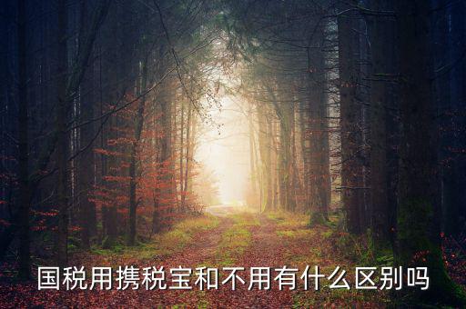 稅寶是什么，國稅用攜稅寶和不用有什么區(qū)別嗎