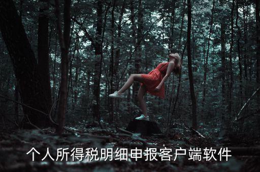 個(gè)人所得稅明細(xì)申報(bào)客戶端軟件