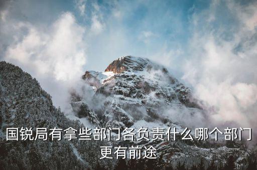 國(guó)銳局是辦什么，深圳公司入黑名單注銷吊銷
