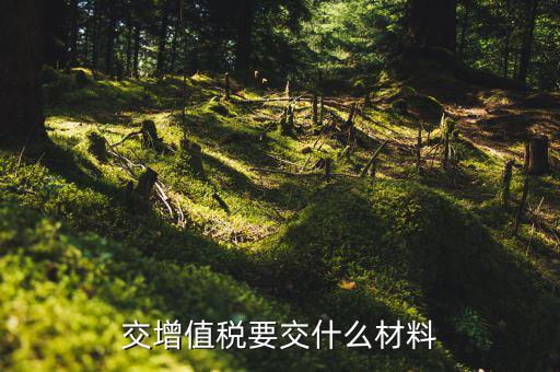 增值稅納稅資料是什么，增值稅報(bào)稅都要準(zhǔn)備哪些資料