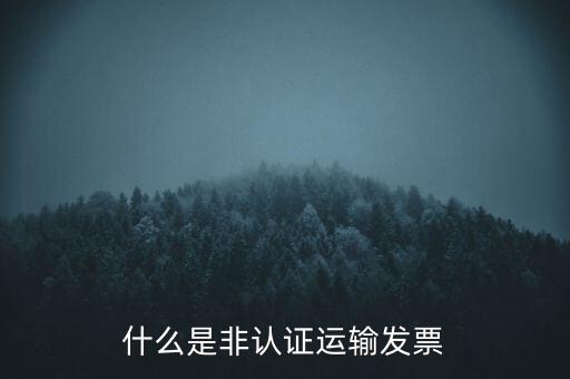 運(yùn)輸票是什么，運(yùn)輸發(fā)票是普通發(fā)票嗎