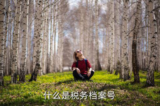 稅收檔案編號(hào)是什么，國(guó)稅檔案編號(hào)是什么