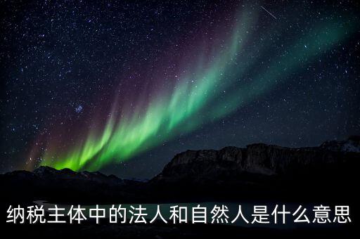 稅務局自然人綁定是什么意思，納稅主體中的法人和自然人是什么意思