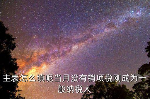 主表怎么填呢當月沒有銷項稅剛成為一般納稅人