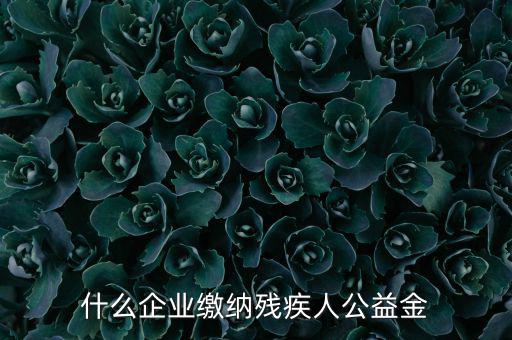 什么企業(yè)需申報(bào)殘疾人保障金，哪些單位應(yīng)該繳納殘疾人保障基金