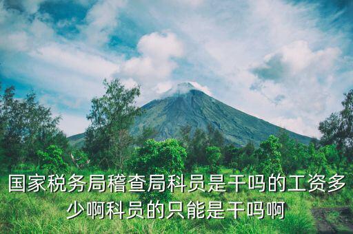 稅務(wù)局督查內(nèi)審科是干什么工作的，做賬專門給稅務(wù)局檢查的職業(yè)是什么