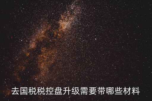 去國(guó)稅稅控盤升級(jí)需要帶哪些材料