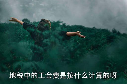 地稅代征的工會(huì)經(jīng)費(fèi)按什么計(jì)算，地稅中的工會(huì)費(fèi)是按什么計(jì)算的呀