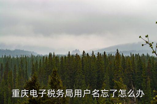 重慶電子稅務(wù)局的網(wǎng)址是什么意思，重慶市國(guó)稅電子申報(bào)委托繳稅的網(wǎng)址