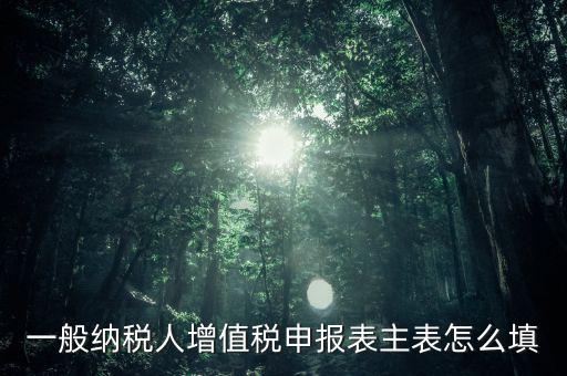 一般納稅人主表是什么，一般納稅人增值稅申報(bào)表主表怎么填