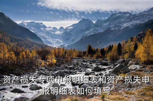 資產(chǎn)損失專項(xiàng)申報(bào)明細(xì)表和資產(chǎn)損失申報(bào)明細(xì)表如何填寫(xiě)