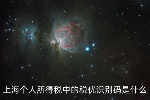 稅優(yōu)碼什么樣子，保險(xiǎn)稅優(yōu)識(shí)別碼是什么樣的