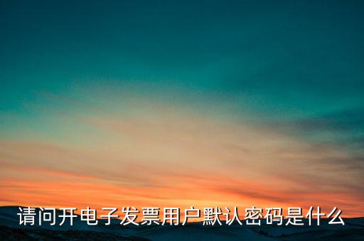 重慶國(guó)稅電子發(fā)票登錄密碼是什么意思，國(guó)稅局發(fā)票軟件里用戶代碼和密碼是什么