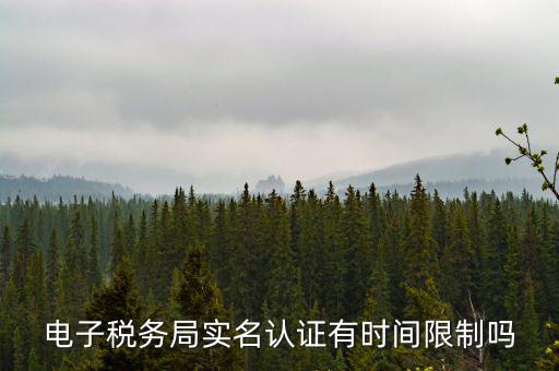 電子稅務局實名認證有時間限制嗎