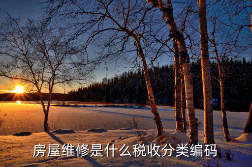 房屋維修是什么稅收分類(lèi)編碼