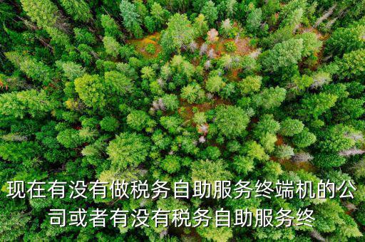 現(xiàn)在有沒有做稅務(wù)自助服務(wù)終端機的公司或者有沒有稅務(wù)自助服務(wù)終