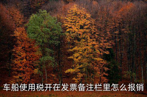 車船使用稅為什么在發(fā)票備注欄，保險(xiǎn)公司代收的車船稅稅款是填在備注欄里的么