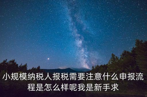 報(bào)稅需要注意什么手續(xù)，一般納稅人每個月怎么報(bào)稅報(bào)稅時要注意什么流程是怎么樣的