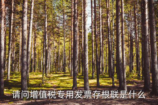 發(fā)票存根聯(lián)是什么，發(fā)票存根聯(lián)是按發(fā)票購(gòu)領(lǐng)本上領(lǐng)購(gòu)的本數(shù)裝訂還是25張裝訂一冊(cè)