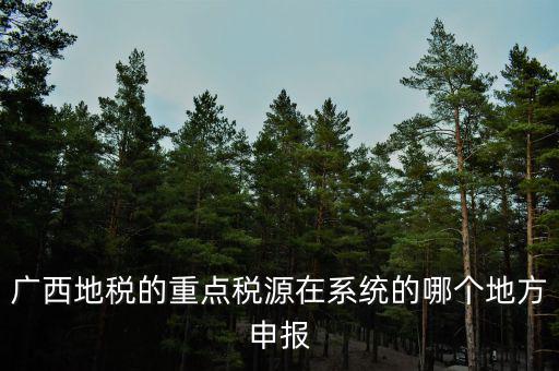 廣西地稅網(wǎng)是什么，進(jìn)入廣西地稅網(wǎng)后為什么網(wǎng)上辦稅大廳會(huì)進(jìn)不去