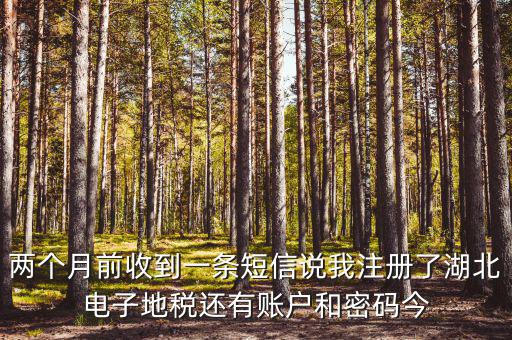 地稅什么時(shí)候會(huì)給電子稅務(wù)密碼，報(bào)地稅的時(shí)候登陸密碼每天有幾次輸入機(jī)會(huì)