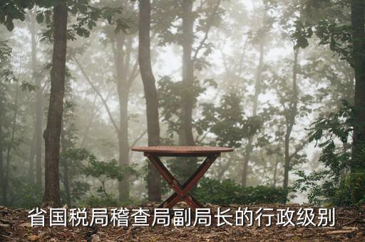 湖南稽查局長什么級別，湖南廣電局紀檢組長是什么級別