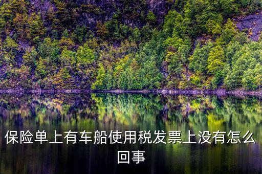 保險(xiǎn)單上有車船使用稅發(fā)票上沒(méi)有怎么回事