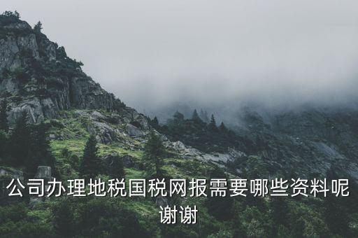 公司辦理地稅國稅網(wǎng)報(bào)需要哪些資料呢謝謝
