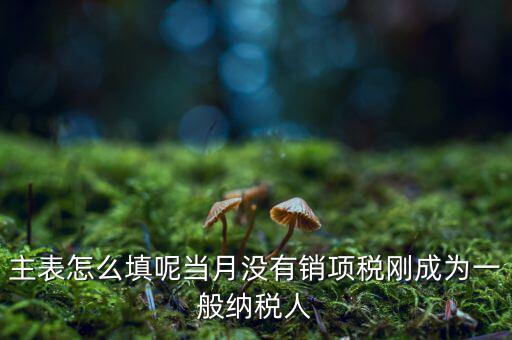 一般納稅人主表是什么意思，一般納稅人申報(bào)表主表的申明人必須輸入是什么意思