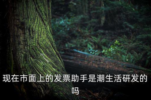 國稅發(fā)票助手是干什么的，現(xiàn)在市面上的發(fā)票助手是潮生活研發(fā)的嗎