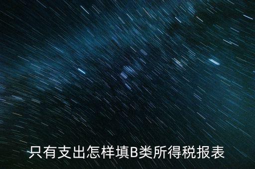 個人生產(chǎn)經(jīng)營所得B表稅金填什么，只有支出怎樣填B類所得稅報表