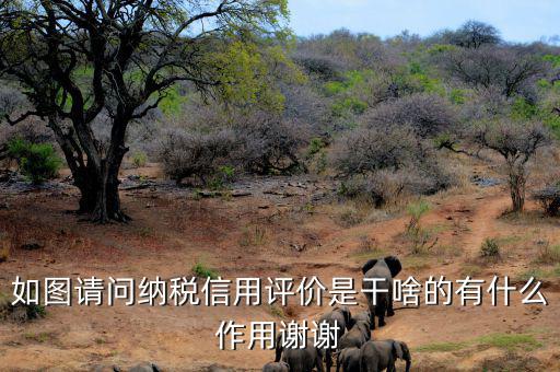 申請(qǐng)納稅信用復(fù)評(píng)需要什么資料，納稅信用評(píng)價(jià)的基本規(guī)范要求包括什么