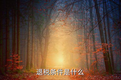 退稅條件是什么