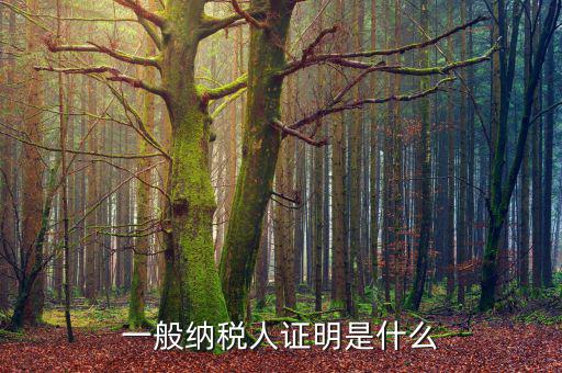 什么可以證明是一般納稅人，什么叫一般納稅人我如何辨別自己公司是否是一般納稅人