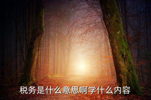 稅務(wù)中介是什么，稅務(wù)師事務(wù)所屬于什么行業(yè)