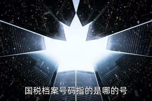 國(guó)稅號(hào)碼是什么，什么是國(guó)稅檔案號(hào)
