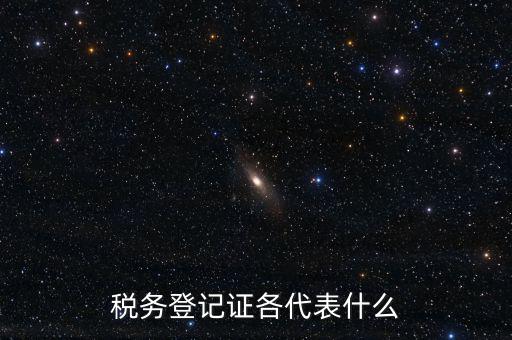 什么稅務(wù)登記證，什么是稅務(wù)登記證
