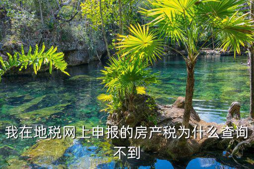 地稅申報(bào)信息查不到是什么原因，地稅報(bào)稅時(shí)提示納稅人信息不存在是怎么回事