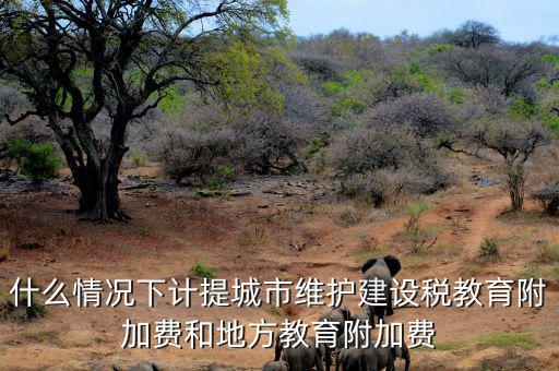 什么情況下免交地方教育稅附加，什么情況下計提城市維護建設(shè)稅教育附加費和地方教育附加費