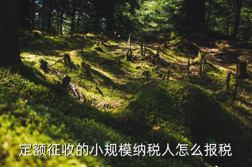 小規(guī)模納稅人 什么定額申報，定額征收的小規(guī)模納稅人怎么報稅