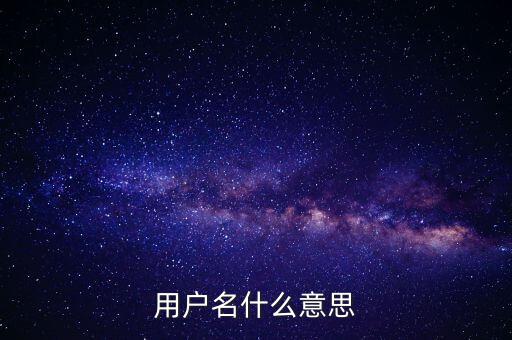 微稅用戶名是什么意思啊，用戶名什么意思