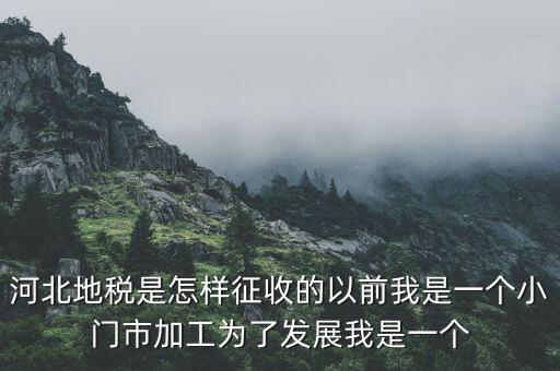 河北省地稅報稅征收方式是什么，河北地稅申報個人所得稅