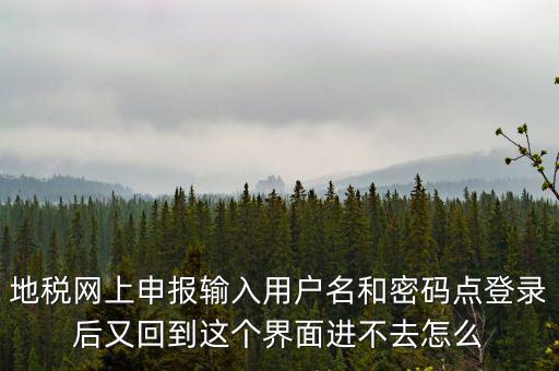 地稅網(wǎng)上申報(bào)輸入用戶名和密碼點(diǎn)登錄后又回到這個界面進(jìn)不去怎么