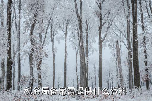 稅務局備案需提供什么資料