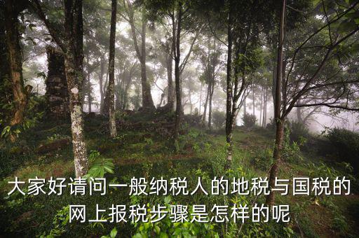 大家好請(qǐng)問一般納稅人的地稅與國稅的網(wǎng)上報(bào)稅步驟是怎樣的呢