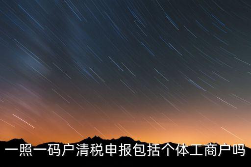 一照一碼戶清稅申報(bào)包括個(gè)體工商戶嗎