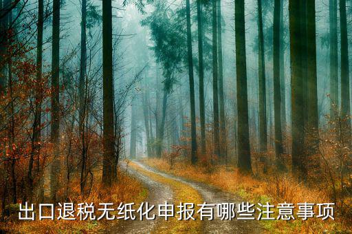 出口退稅無紙化申報有哪些注意事項(xiàng)