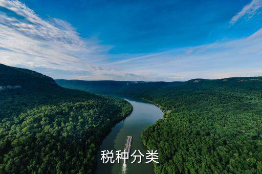 鋁制品稅收分類屬于什么，鋁蓋屬于稅收分類的哪一種