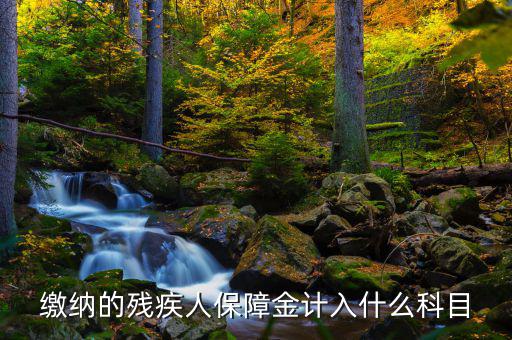 殘疾人就業(yè)保障金稅目是什么，殘疾人就業(yè)保障金應(yīng)計(jì)什么會(huì)計(jì)科目